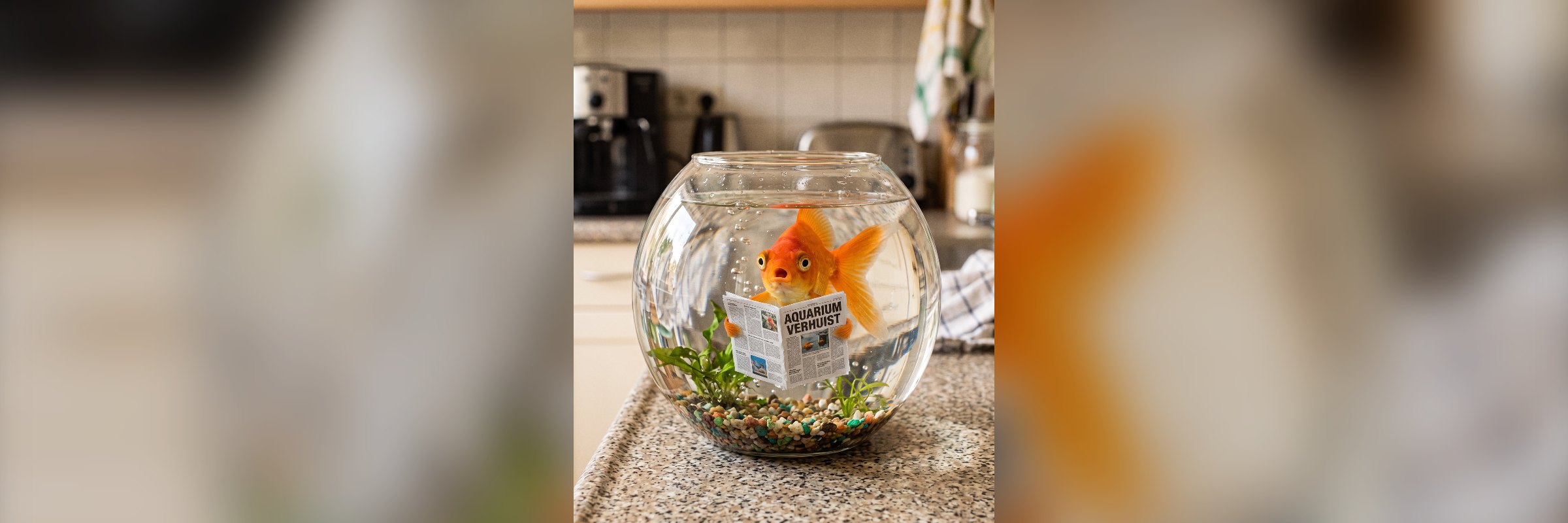 Uw huis staat te koop, zegt de buurvrouw